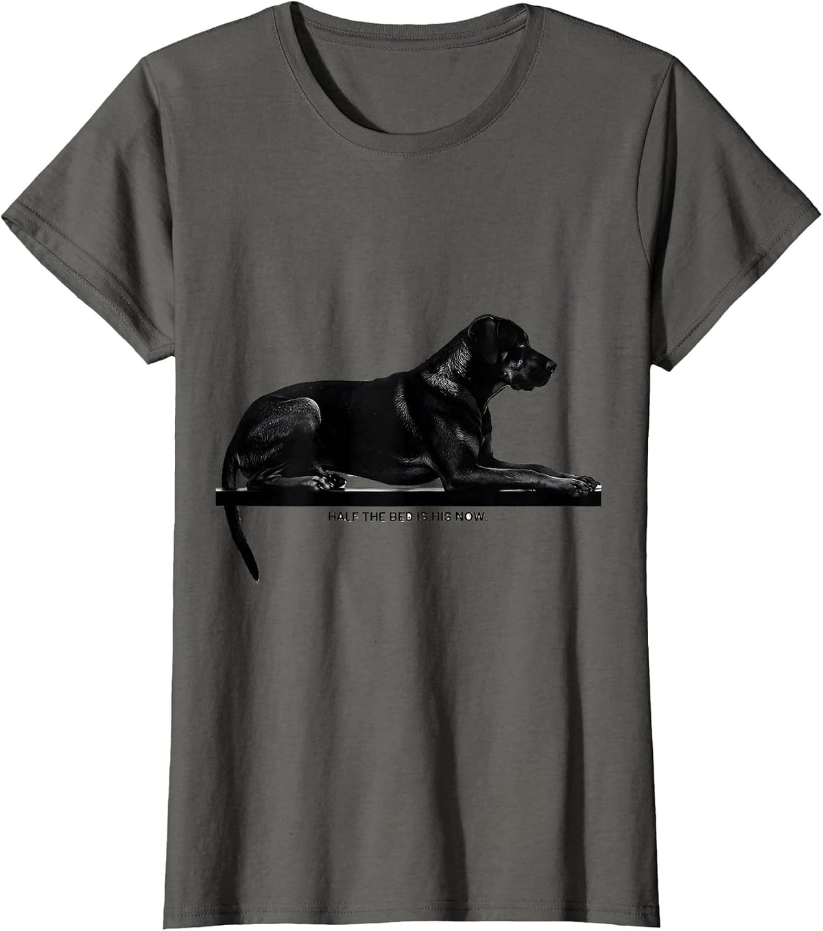 Women's Half The Bed Is His Now Funny Rhodesian Ridgeback Dog Owner T-Shirt - Asphalt Grey