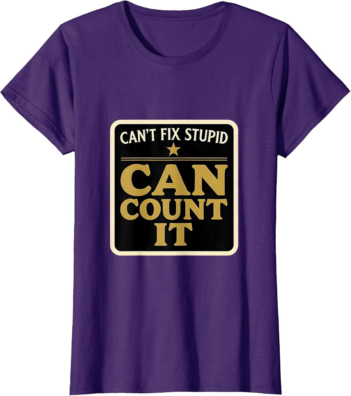 Women's Can't Fix Stupid Can Count It Funny Police Officer Gift T-Shirt - Purple