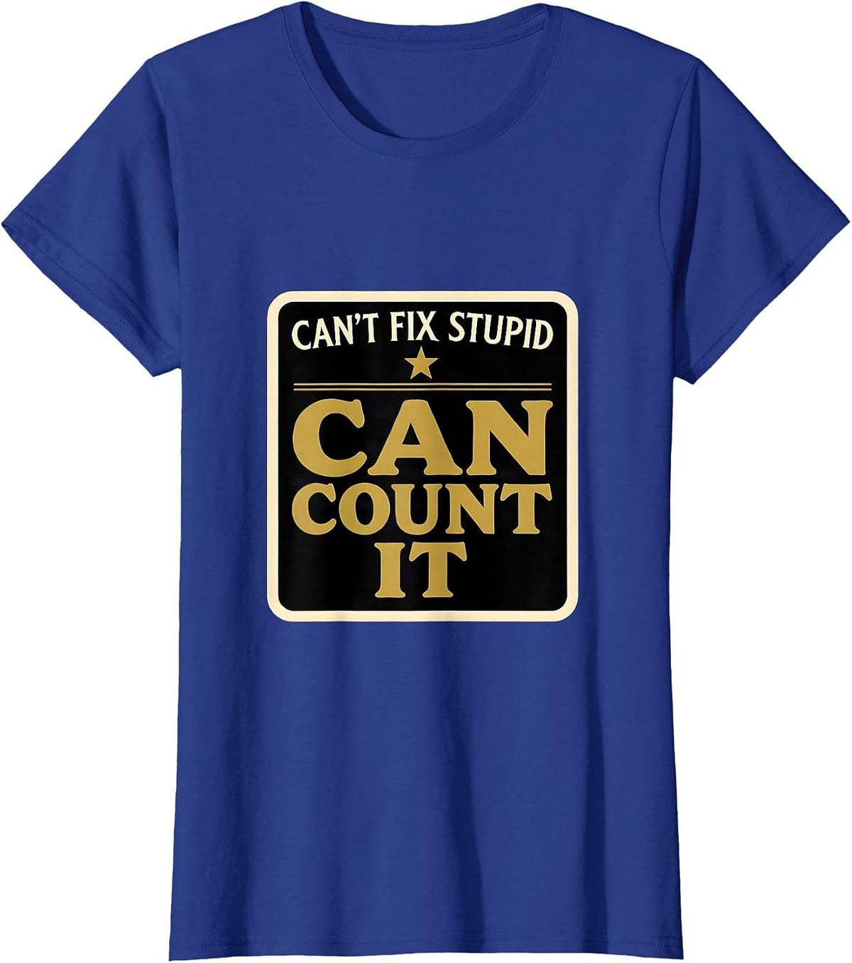 Women's Can't Fix Stupid Can Count It Funny Police Officer Gift T-Shirt - Royal Blue