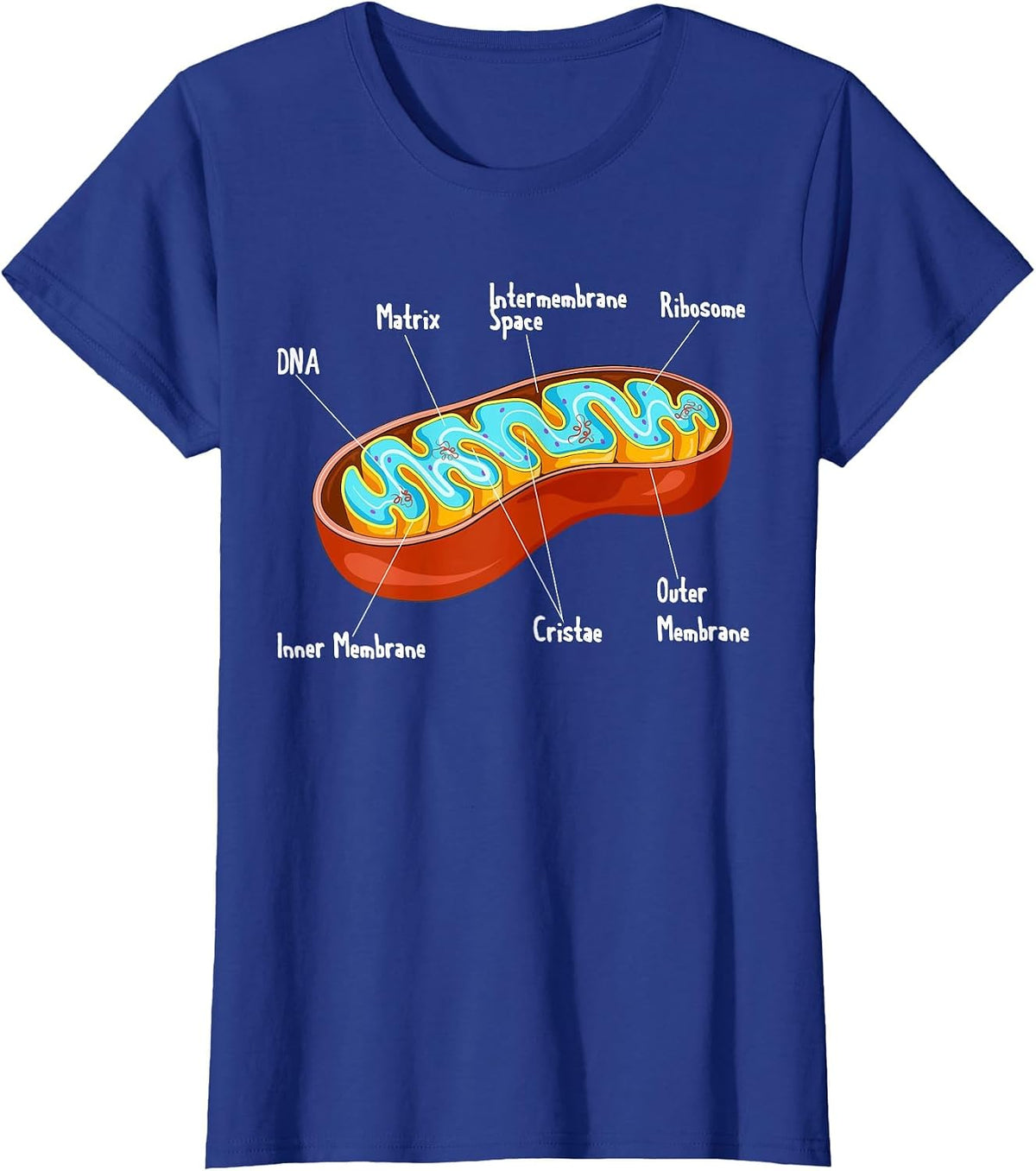 Mitochondria Cell Biology Biologist Science Teacher Student T-Shirt - Royal Blue