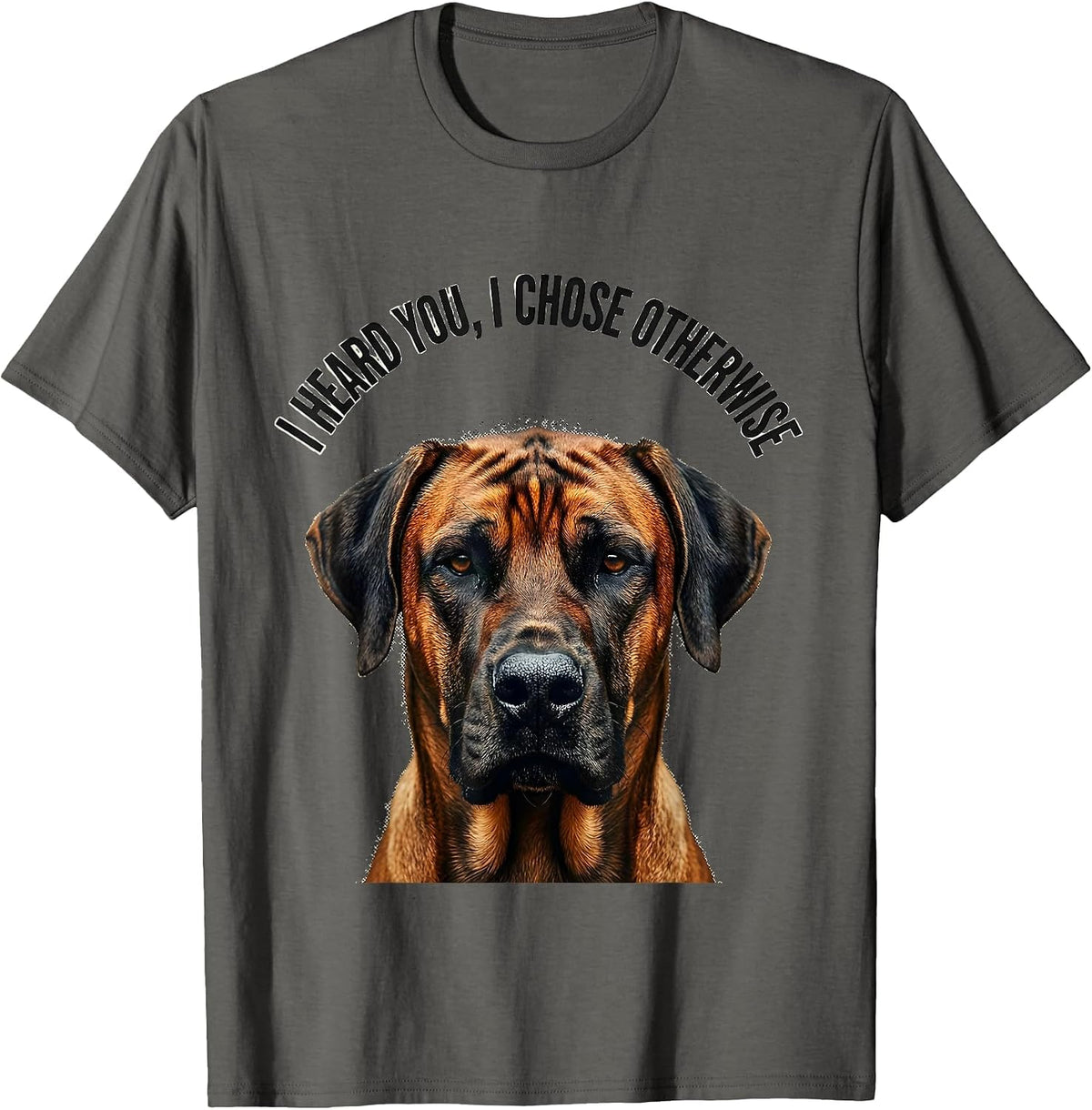 I Heard You, I Chose Otherwise Funny Rhodesian Ridgeback Dog T-Shirt - Asphalt Grey