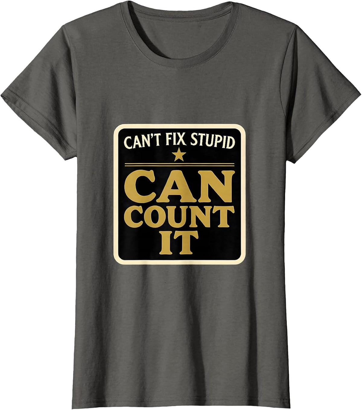 Women's Can't Fix Stupid Can Count It Funny Police Officer Gift T-Shirt - Asphalt Grey