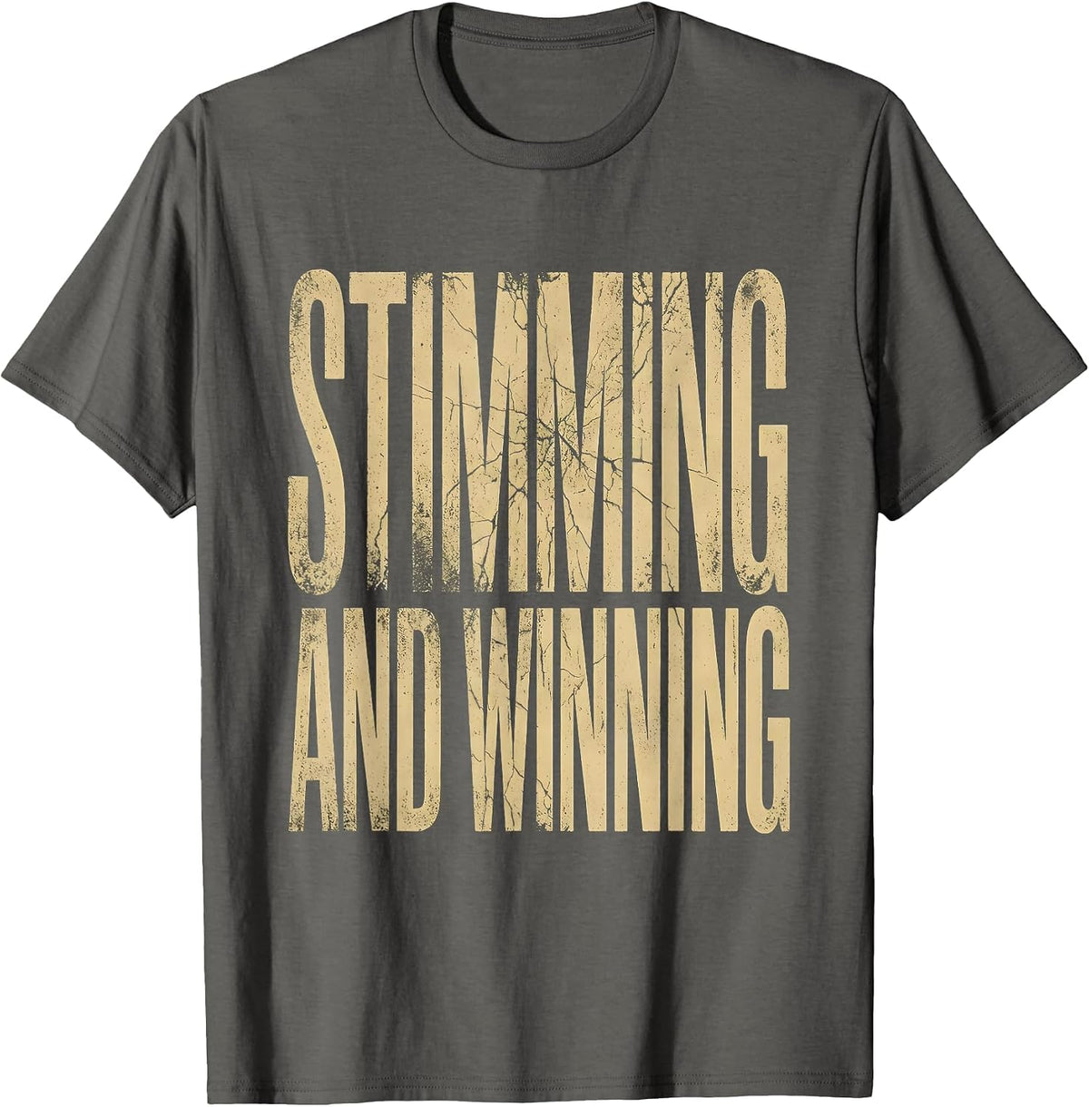 Rizz Em With The Tism Stimming and Winning T-Shirt - Asphalt Grey