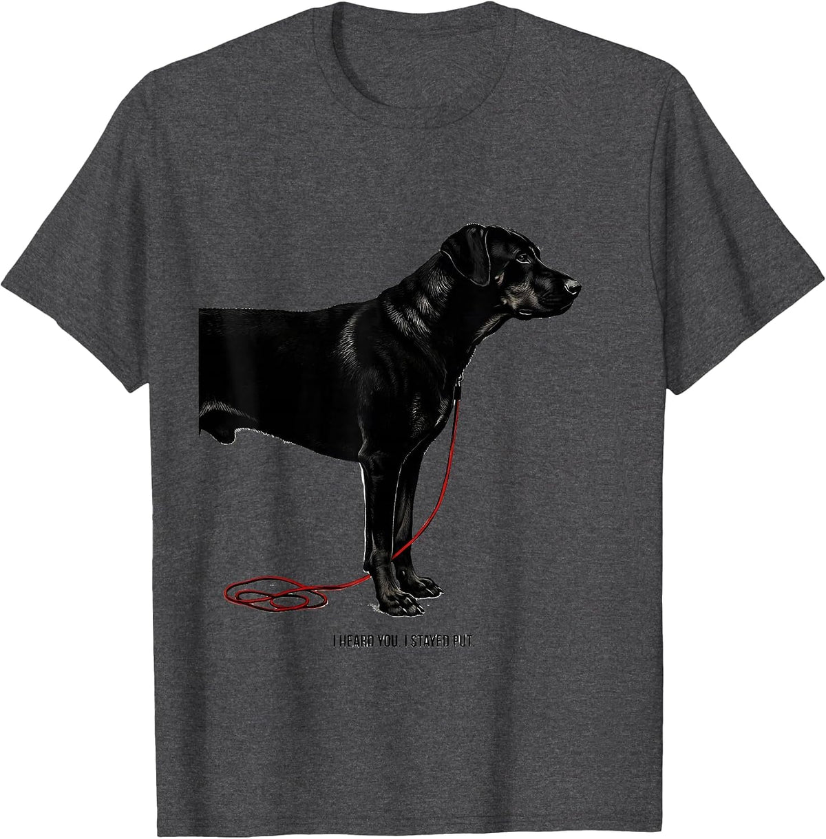 I Heard You I Stayed Put Funny Rhodesian Ridgeback Dog Lover T-Shirt - Dark Heather Grey