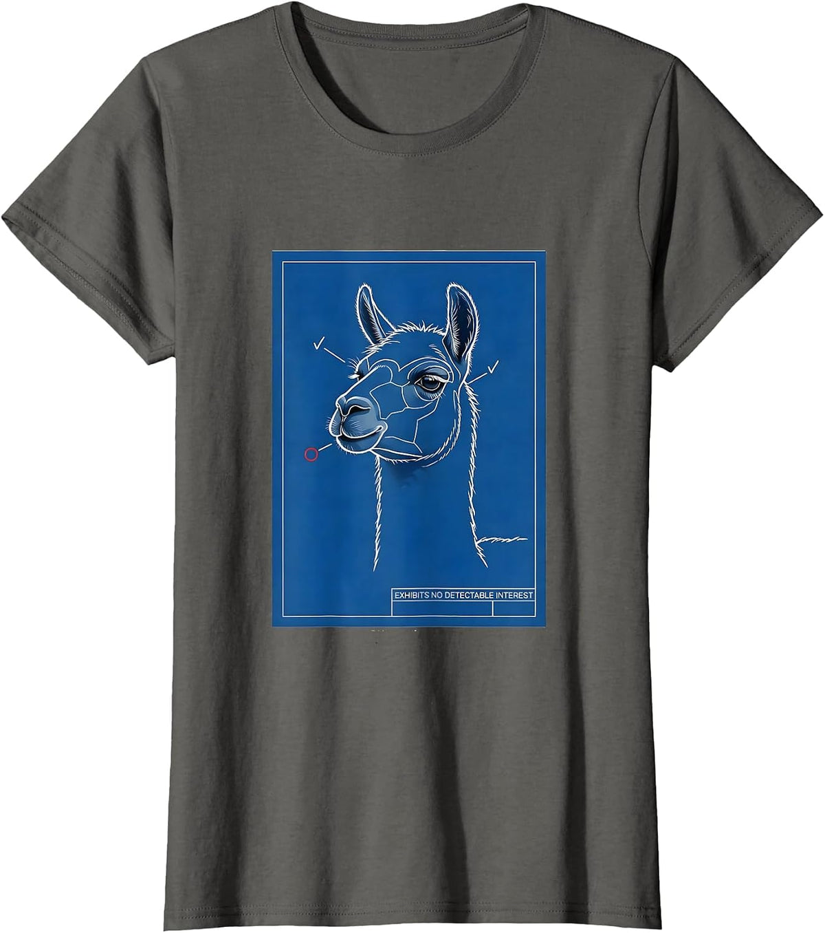 Women's Exhibits No Detectable Interest Funny Llama Alpaca Humor T-Shirt - Asphalt Grey