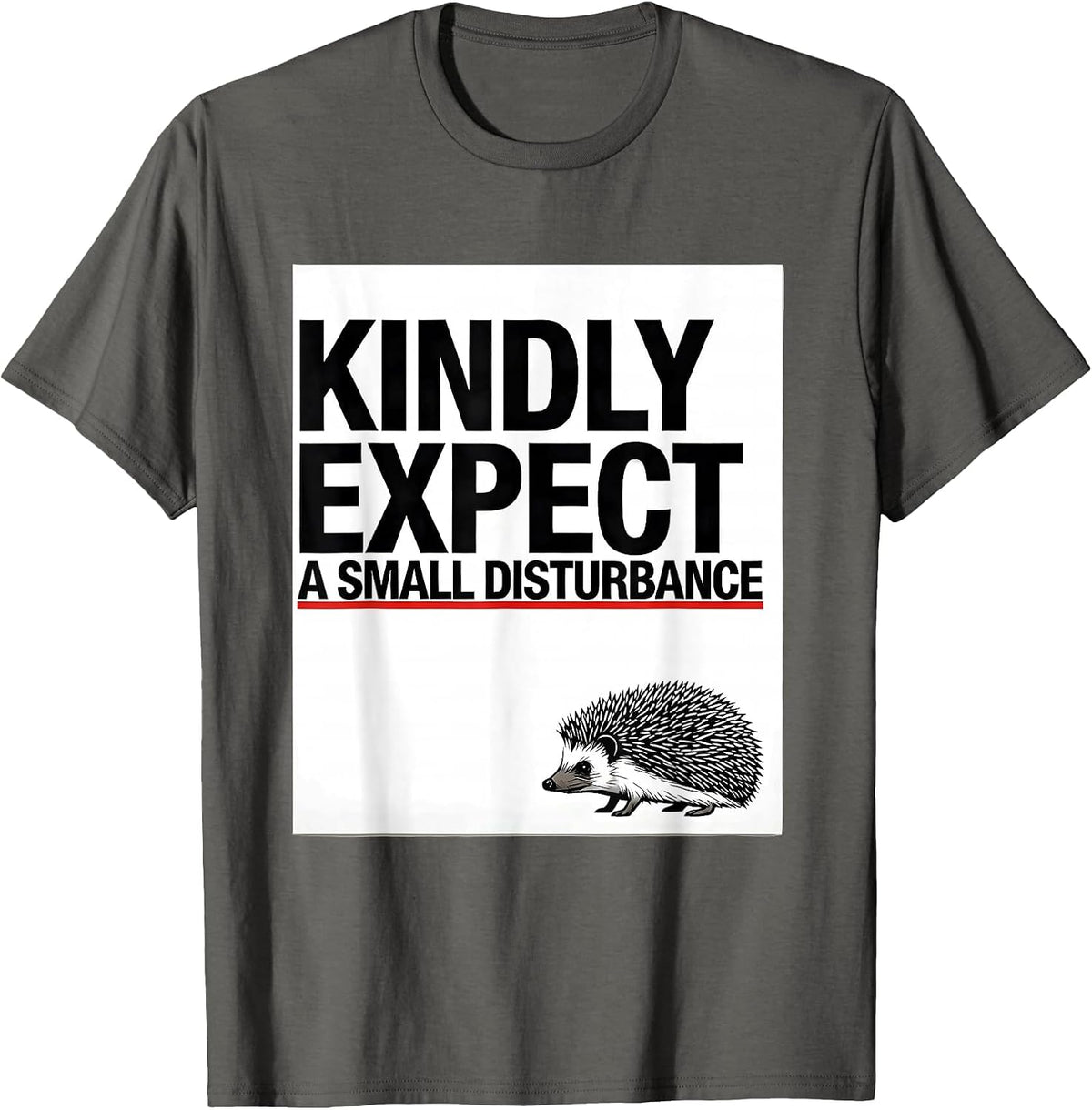 Men's Kindly Expect A Small Disturbance Whimsical Hedgehog Meme T-Shirt - Asphalt Grey