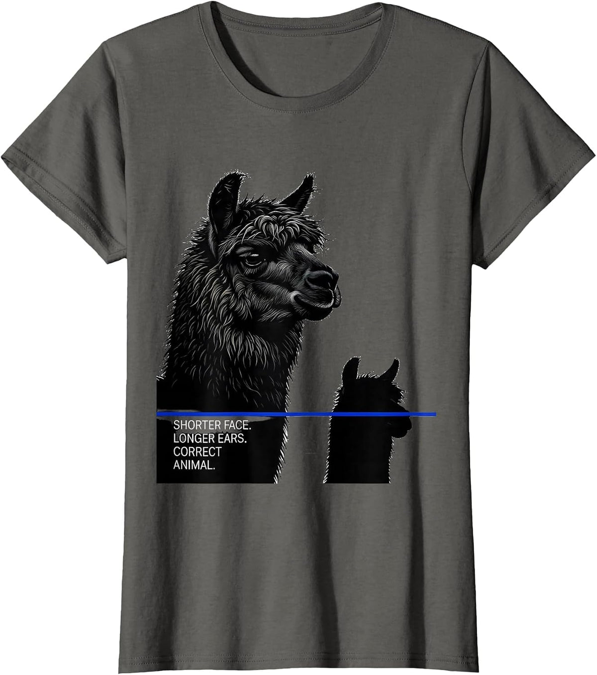 Women's Shorter Face Longer Ears Correct Animal Alpaca Lover T-Shirt - Asphalt Grey