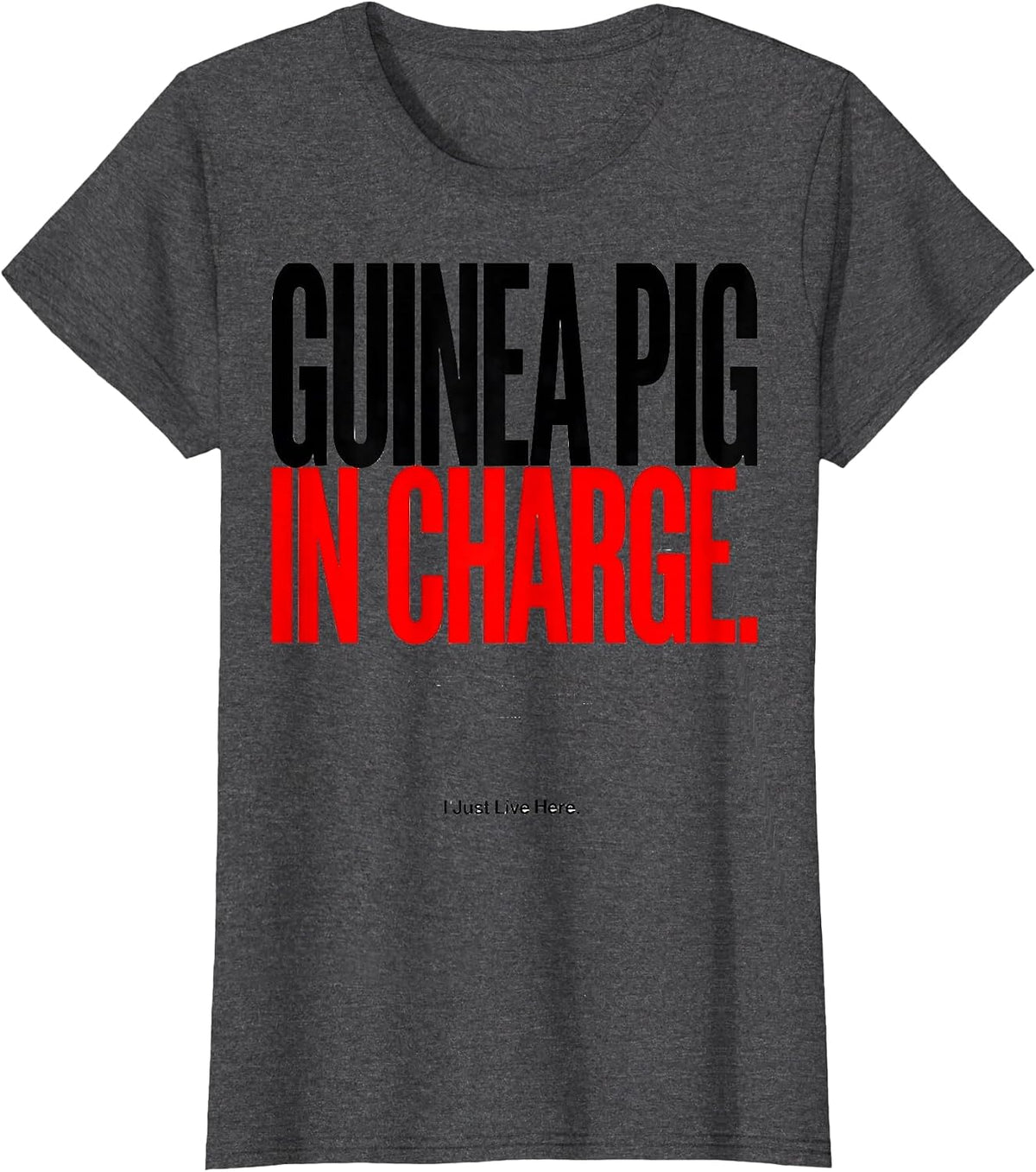 Women's Guinea Pig In Charge I Just Live Here Funny T-Shirt - Dark Heather Grey