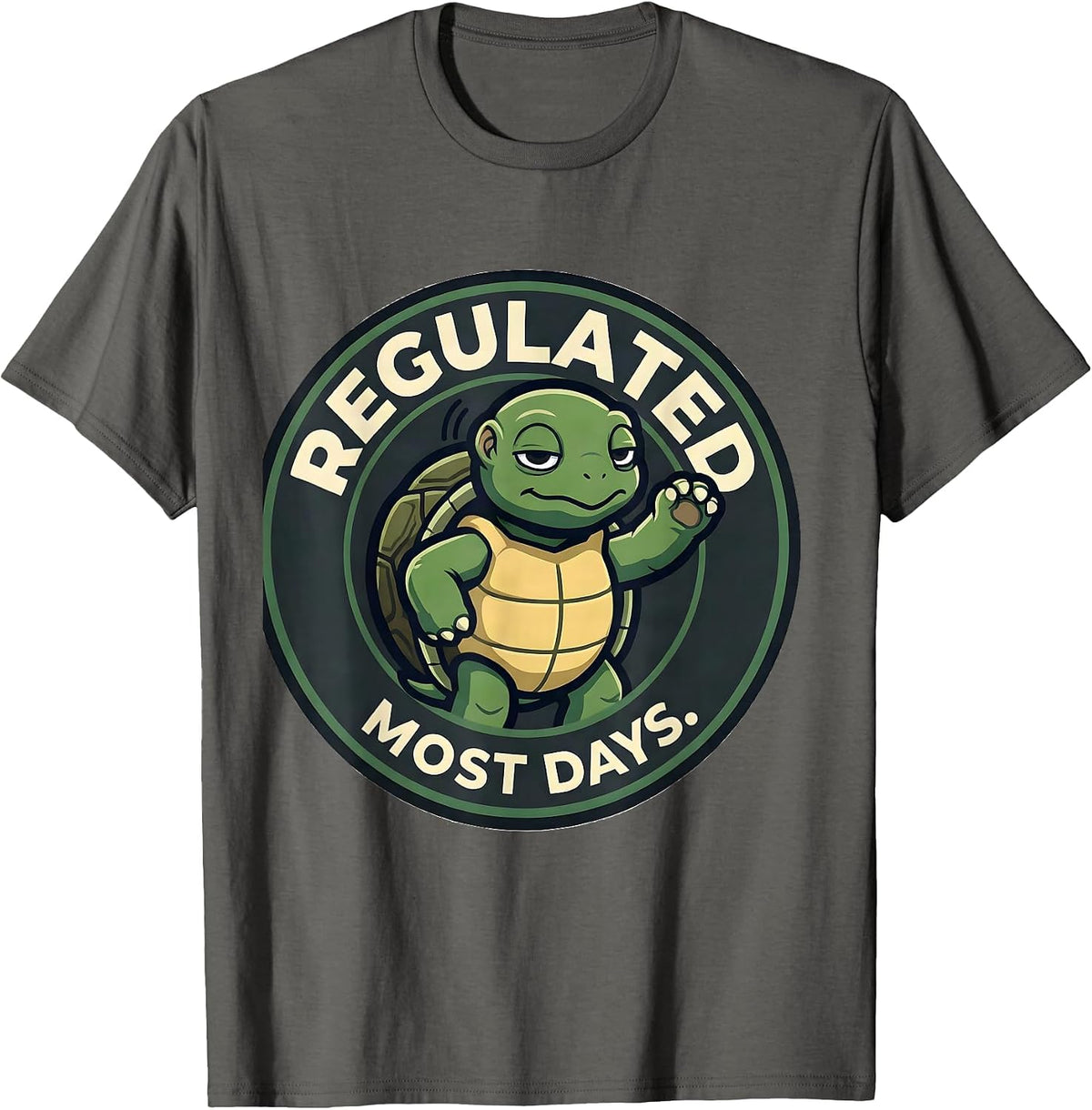 Regulated Most Days Mental Health Counselor Therapist Peer T-Shirt - Asphalt Grey