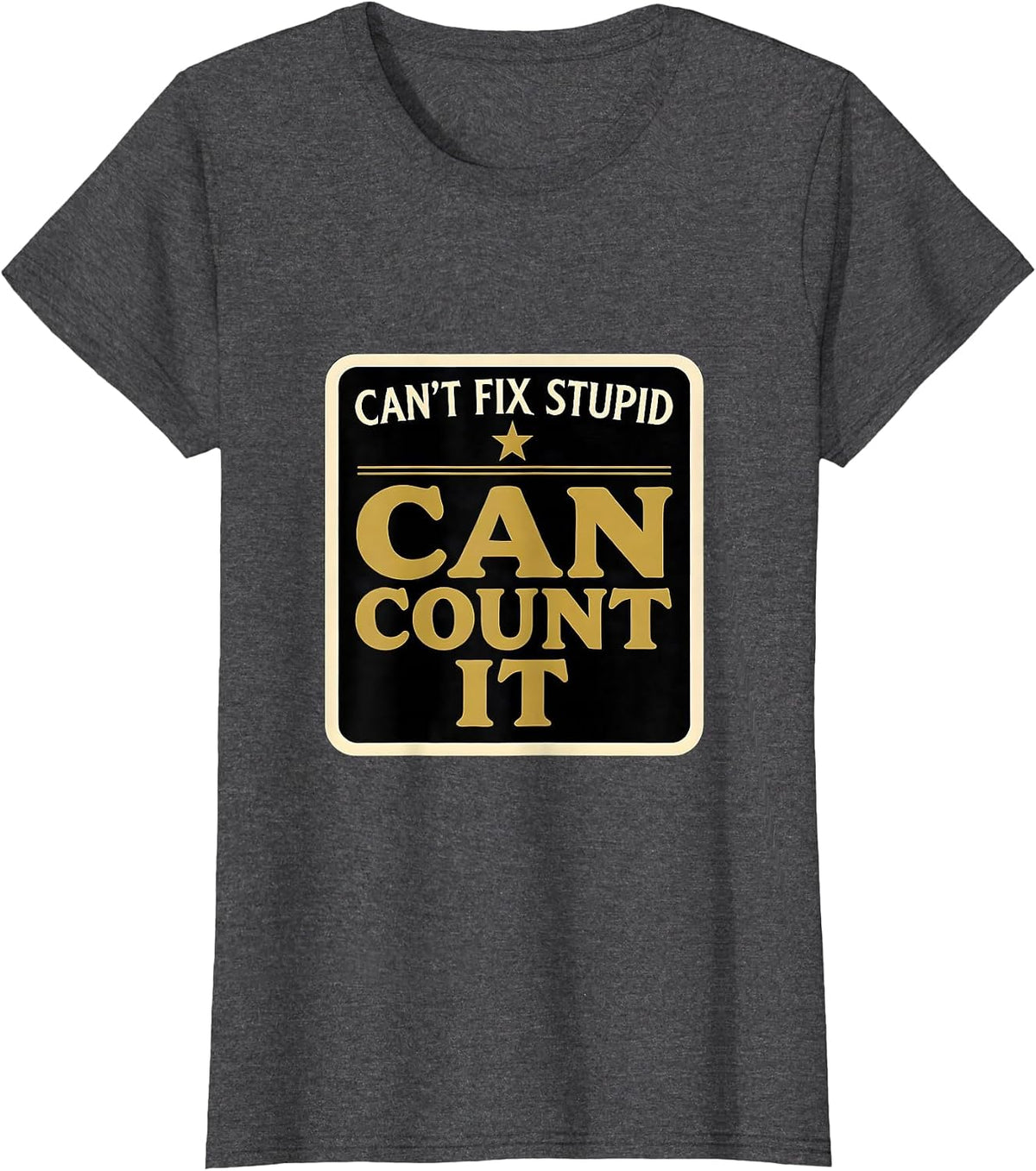 Women's Can't Fix Stupid Can Count It Funny Police Officer Gift T-Shirt - Dark Heather Grey