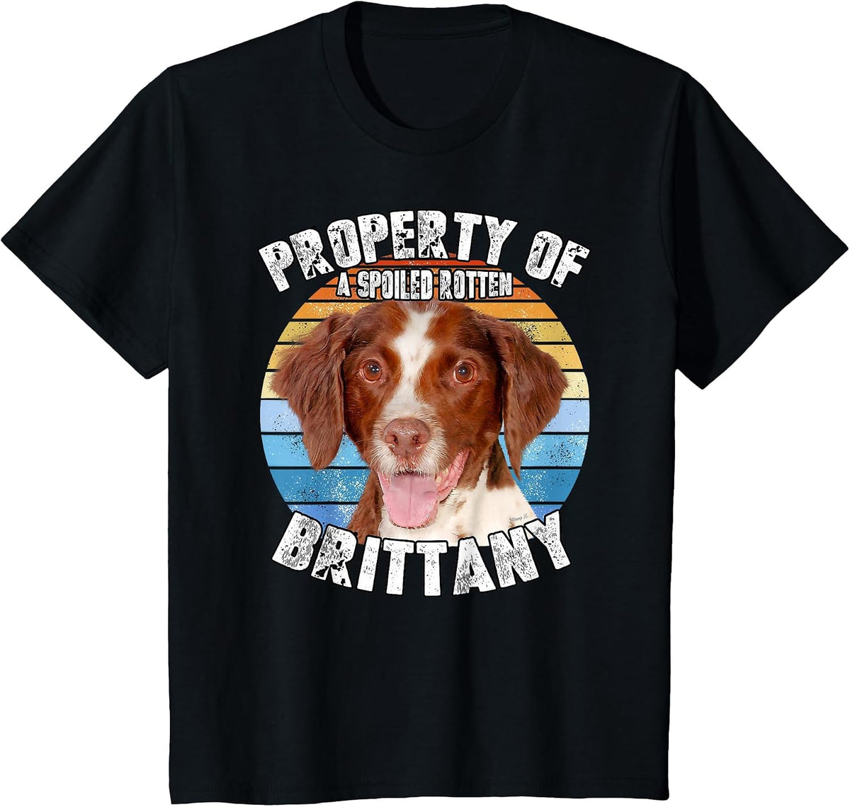 Brittany Spaniel Property of T-Shirt - Black
