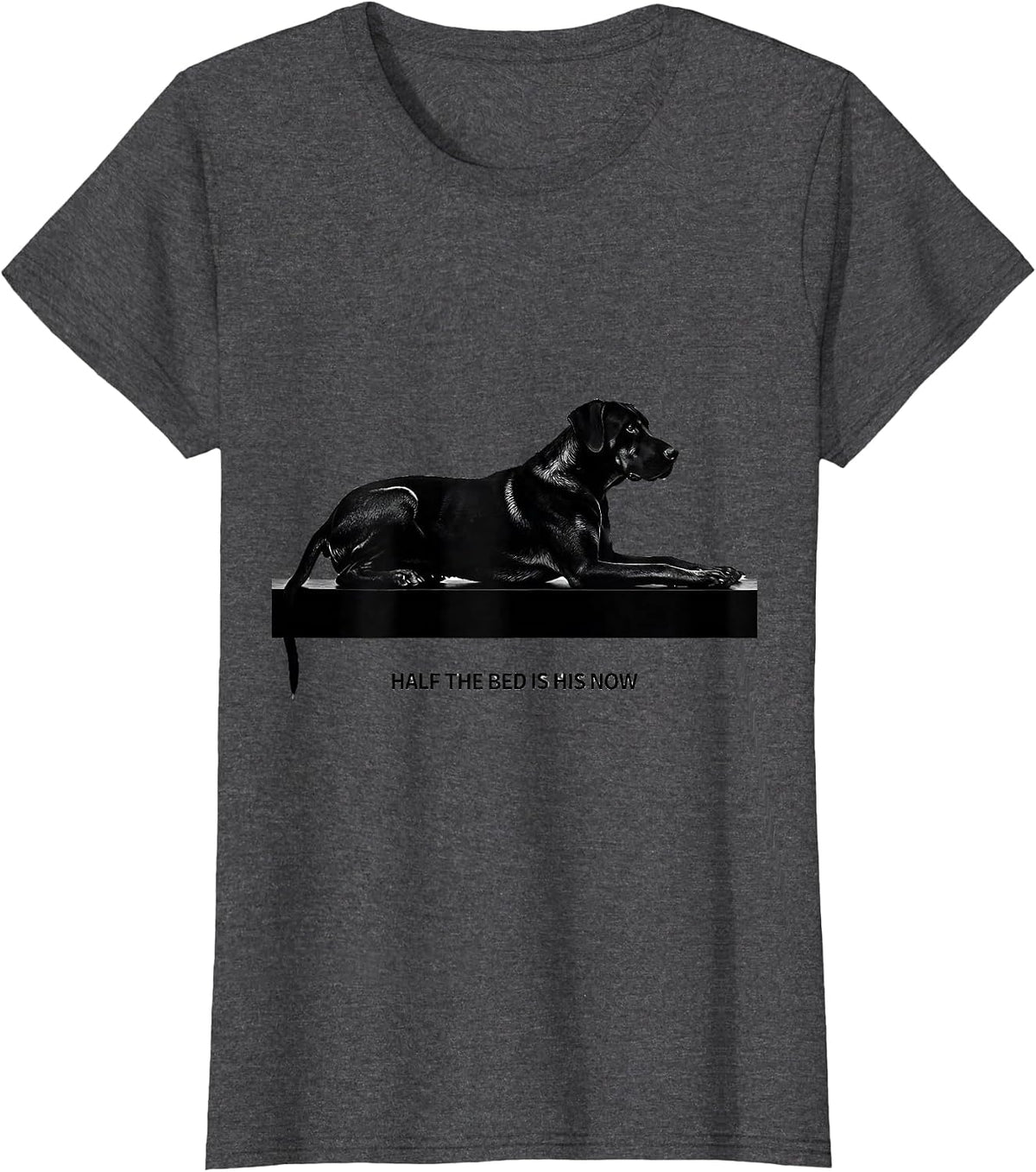 Women's Half The Bed Is His Now Funny Rhodesian Ridgeback Dog Owner T-Shirt - Dark Heather Grey