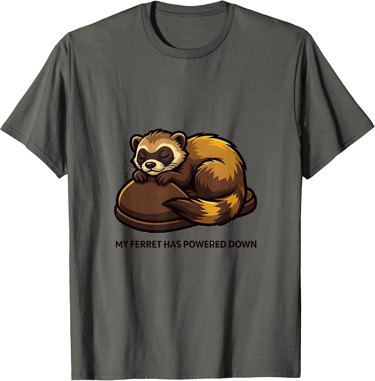 My Ferret Has Powered Down Funny Ferret Lover Gift Ferret T-Shirt - Asphalt Grey