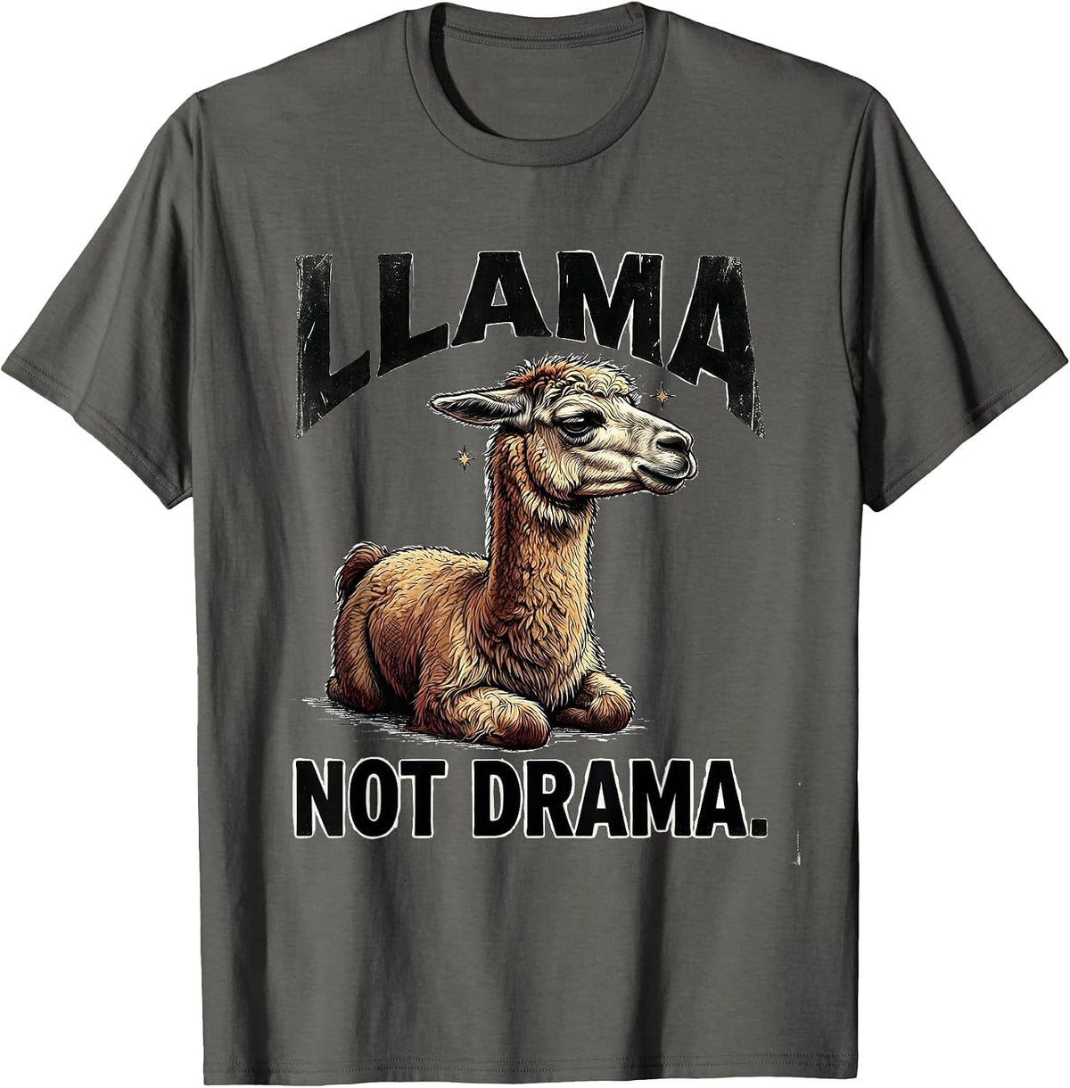 Llama Not Drama Funny Llama Alpaca Lover Gift T-Shirt - Asphalt Grey