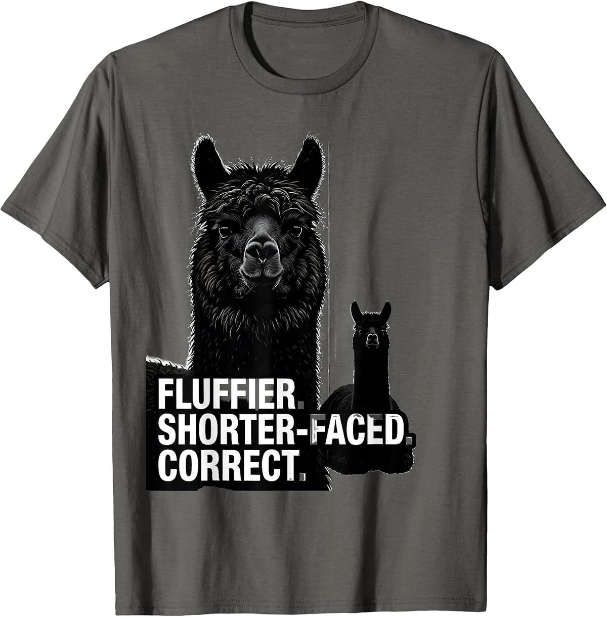 Fluffier Shorter-Faced Correct Funny Alpaca Lover Gift T-Shirt - Asphalt Grey
