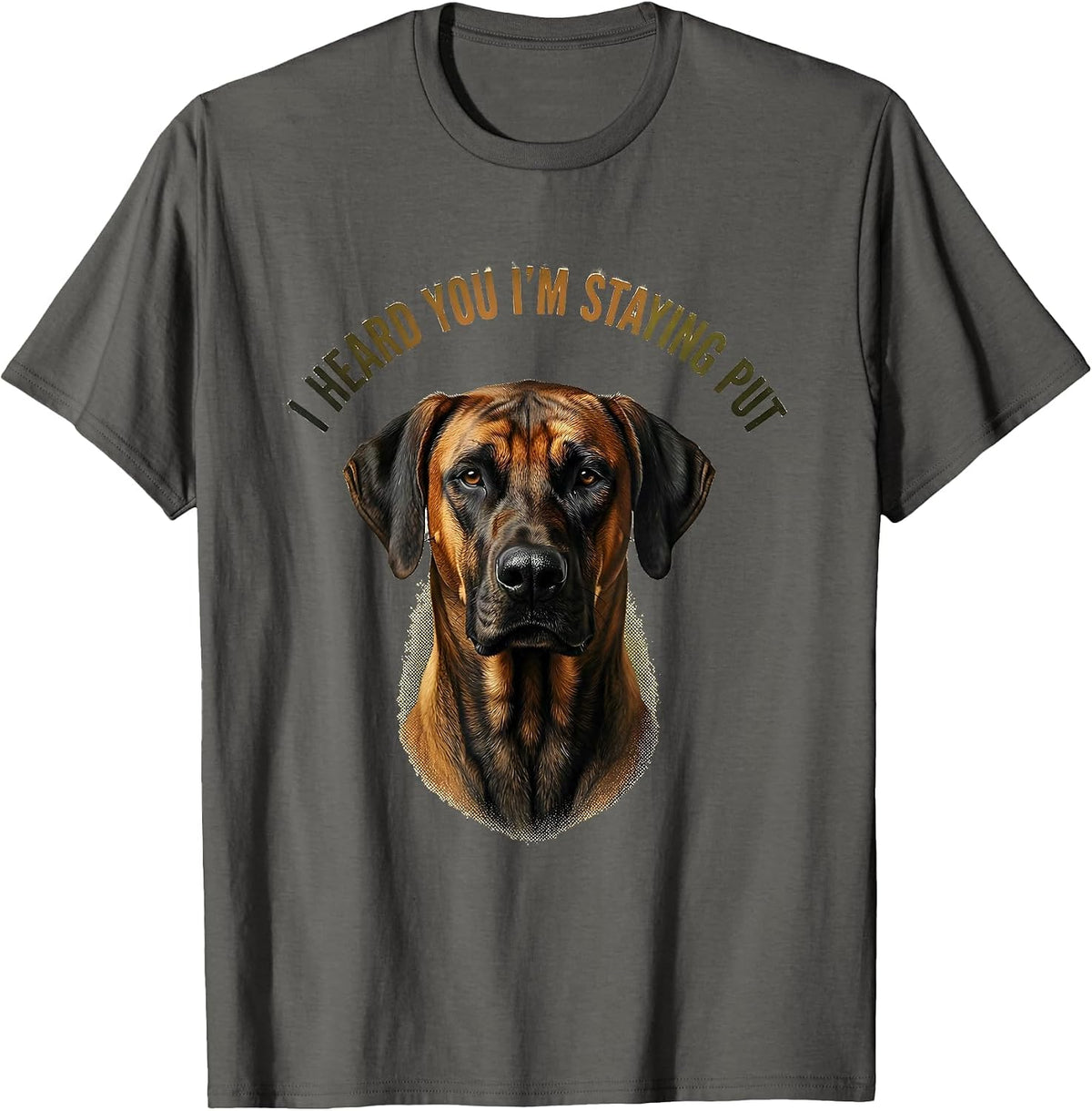 Men's I Heard You I'm Staying Put Rhodesian Ridgeback Dog Lover T-Shirt - Asphalt Grey