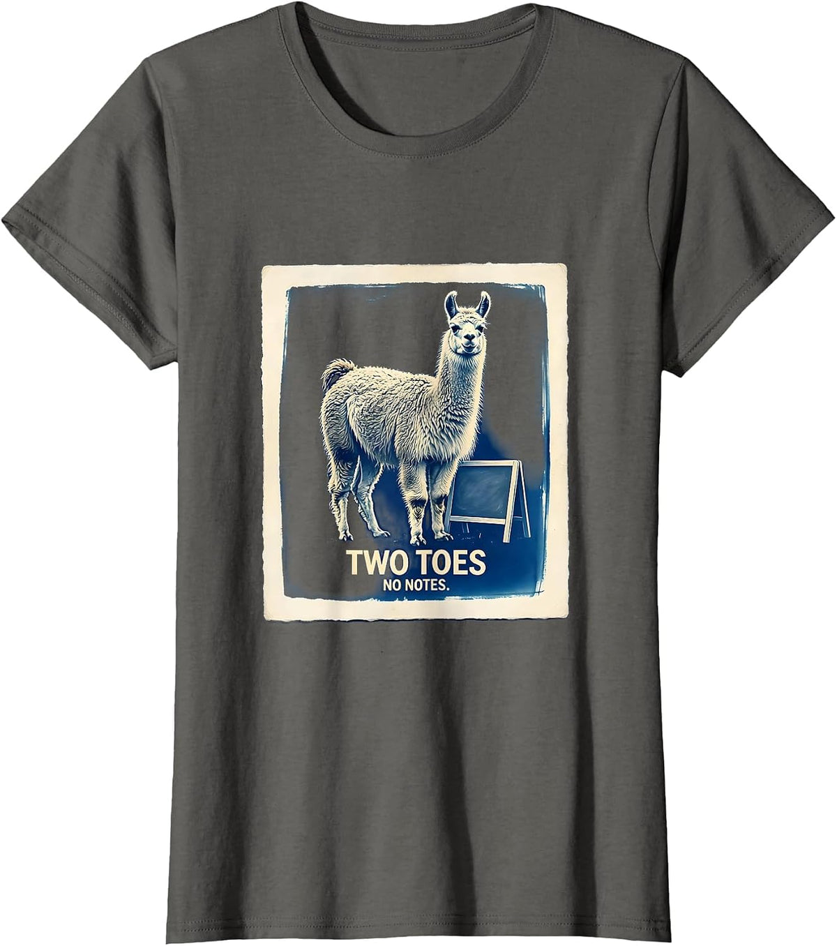 Women's Two Toes, No Notes Funny Llama Alpaca Pun Humor T-Shirt - Asphalt Grey