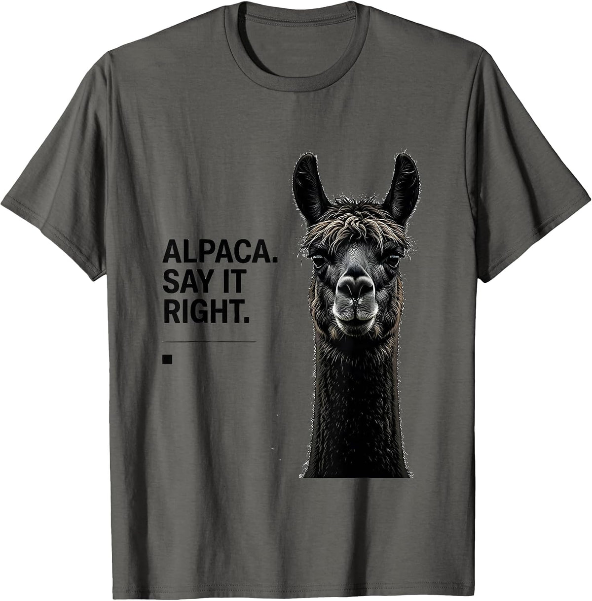 Alpaca Say It Right Funny Alpaca Lover Novelty Humor T-Shirt - Asphalt Grey