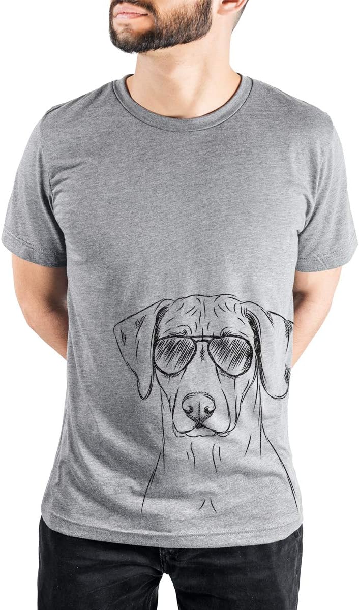 Aviator Ronan the Rhodesian Ridgeback Triblend T-Shirt - Unisex Grey Crew Neck