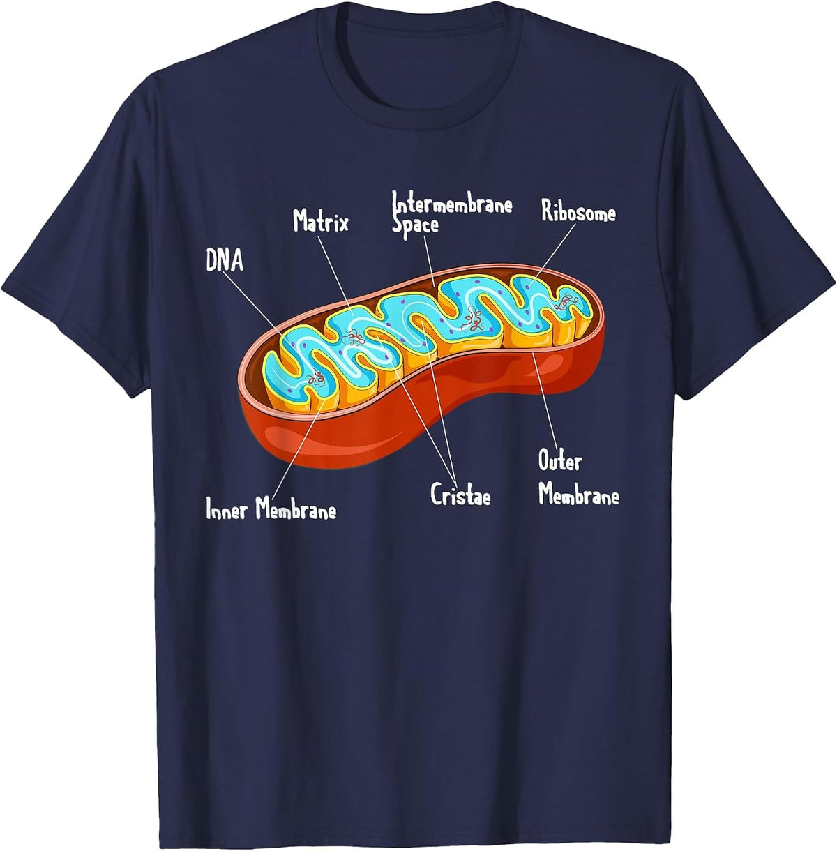 Mitochondria Cell Biology Biologist Science Teacher Student T-Shirt - Navy Blue