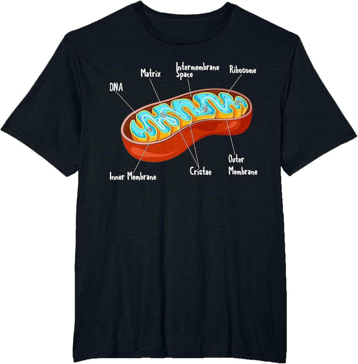 Mitochondria Cell Biology Biologist Science Teacher Student T-Shirt - Black