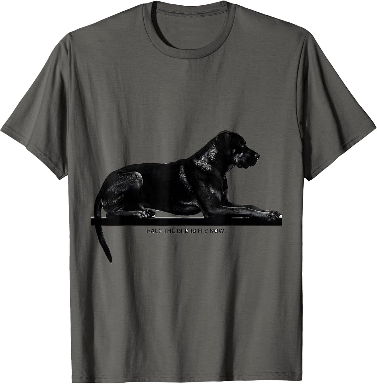 Men's Half The Bed Is His Now Funny Rhodesian Ridgeback Dog Owner T-Shirt - Asphalt Grey