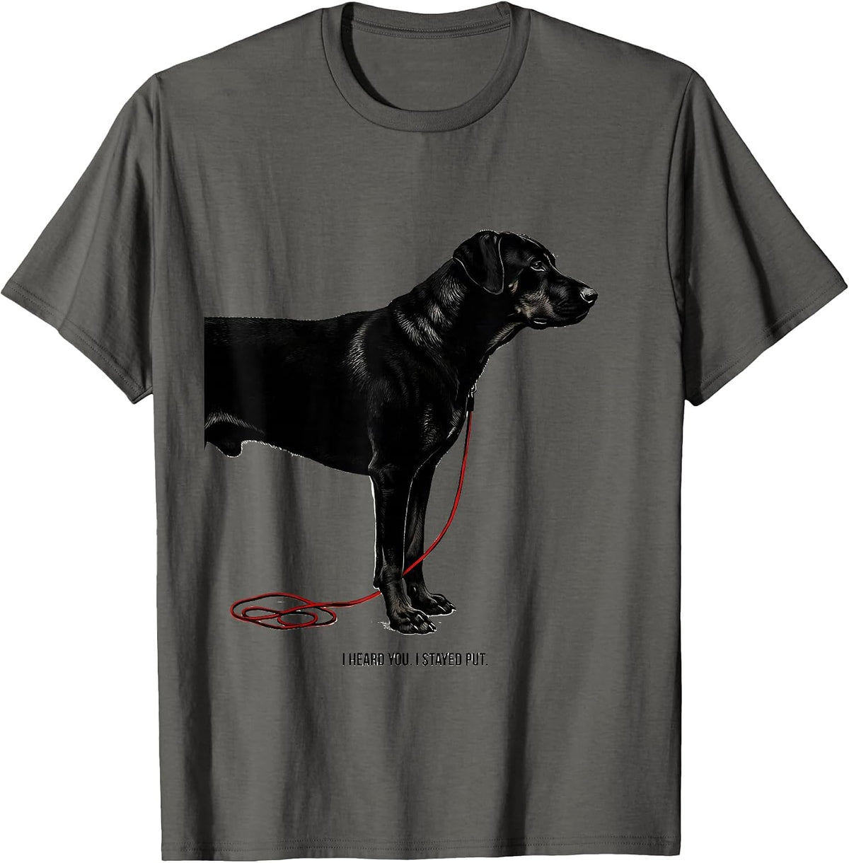 I Heard You I Stayed Put Funny Rhodesian Ridgeback Dog Lover T-Shirt - Asphalt Grey