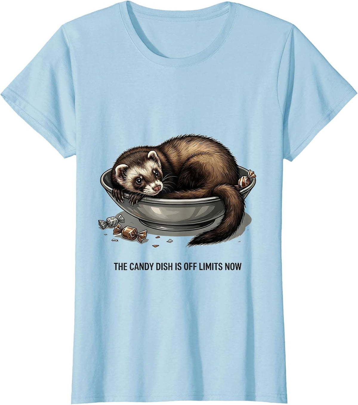 Women's The Candy Dish Is Off Limits Now Funny Ferret Lover T-Shirt - Baby Blue