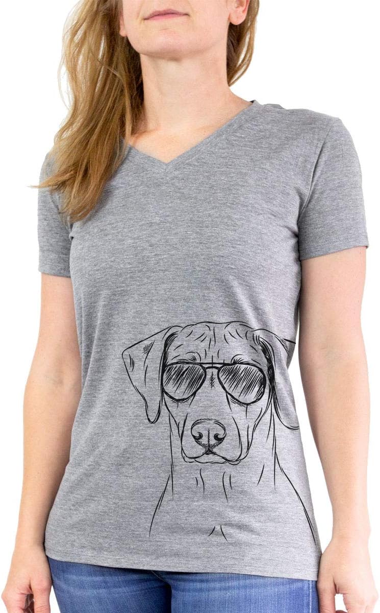Aviator Ronan the Rhodesian Ridgeback Triblend T-Shirt - Grey Modern V-neck