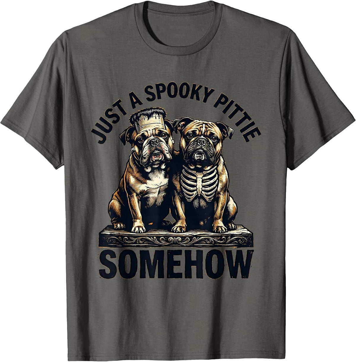 Just A Spooky Pittie Somehow Funny Halloween Pitbull Dog T-Shirt - Asphalt Grey