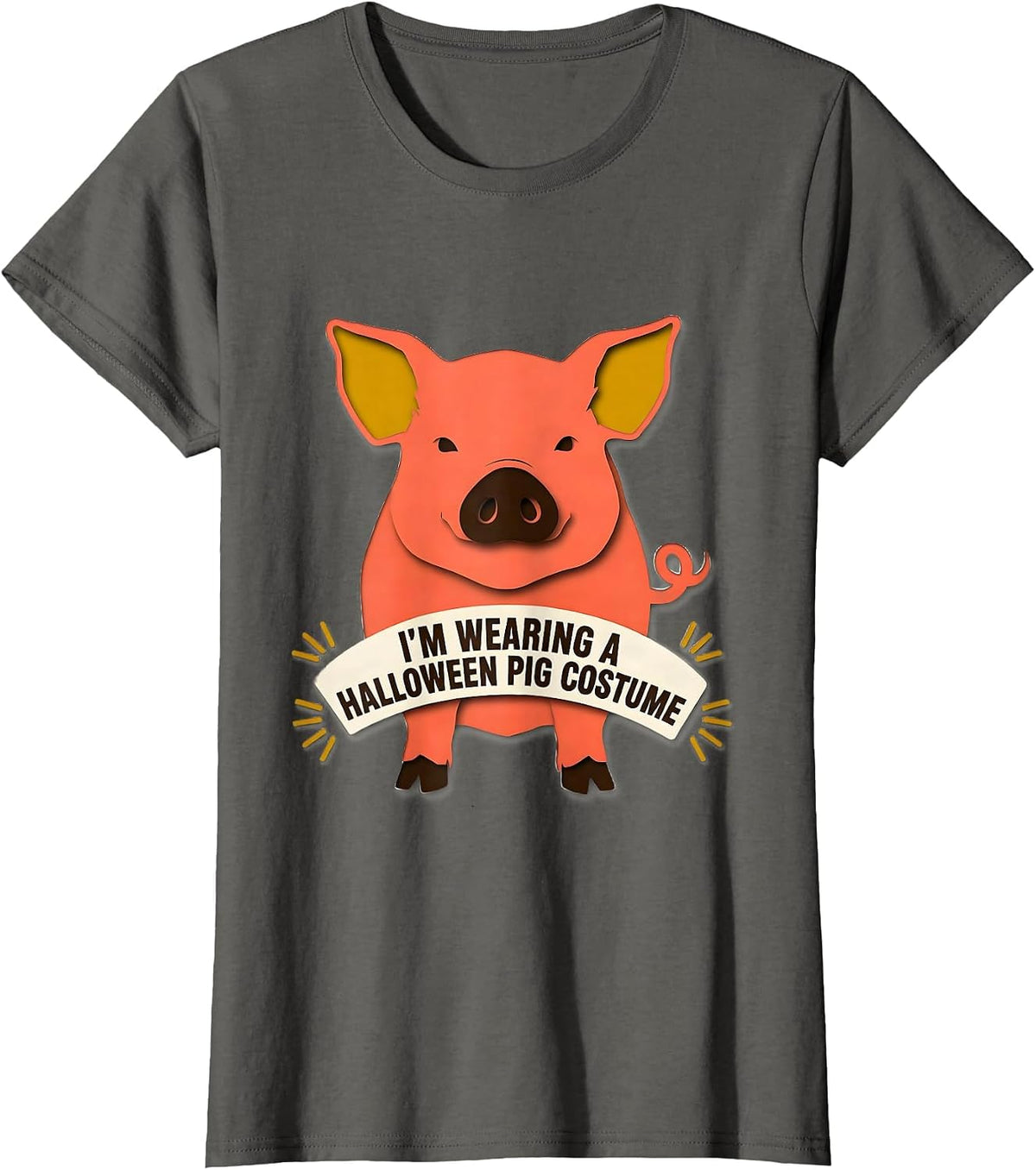 Women's I’m Wearing A Halloween Pig Costume Funny Pig Lover T-Shirt - Asphalt Grey