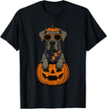 Spooky Great Dane Pumpkin Halloween Dog Lover T-Shirt - Black