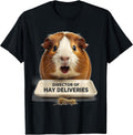 Men's Director Of Hay Deliveries Funny Guinea Pig Pet Lover Humor T-Shirt - Black