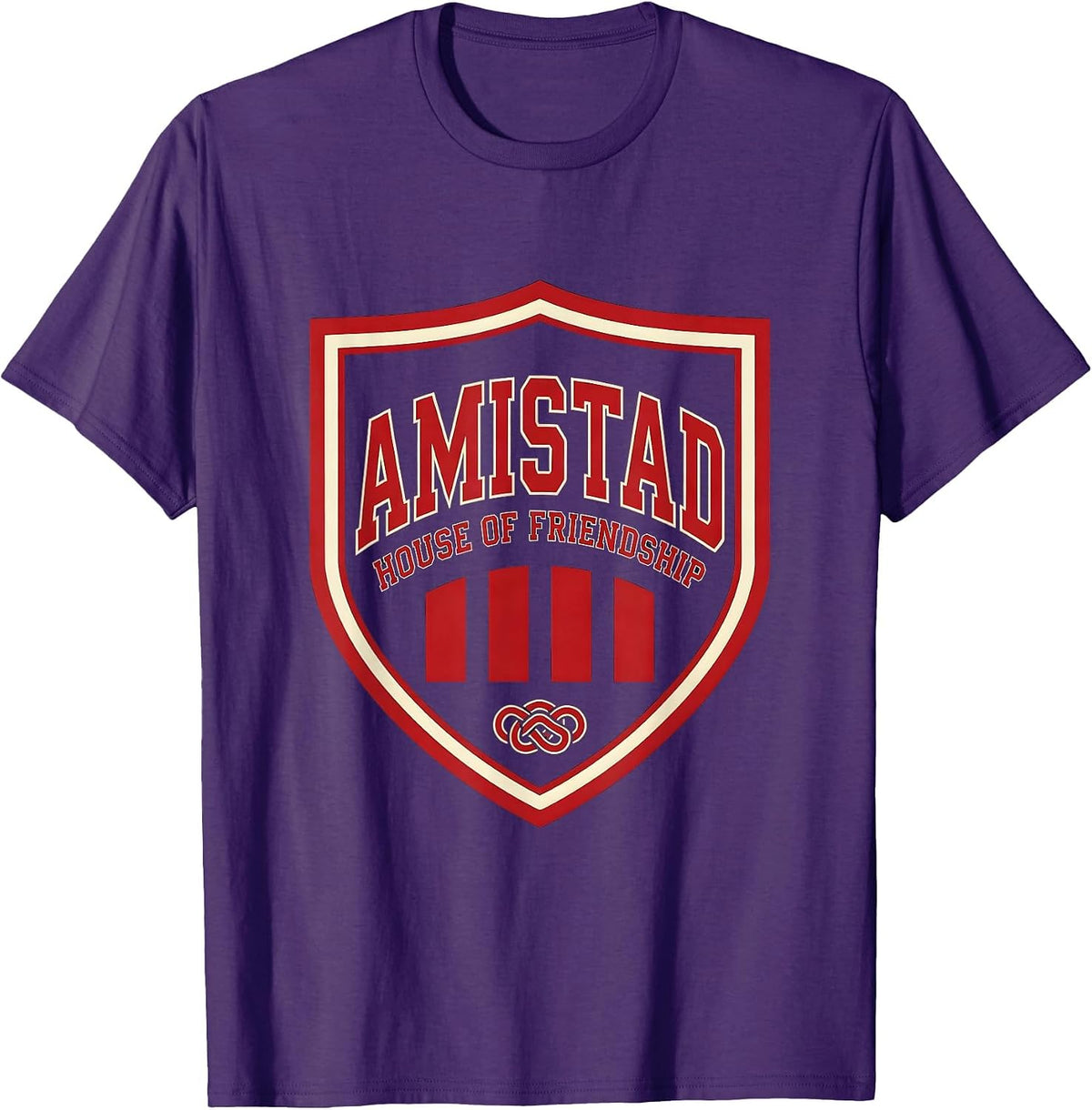 Amistad House of Friendship Sports Teachers Students School T-Shirt - Purple