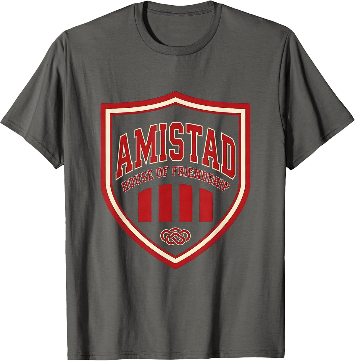 Amistad House of Friendship Sports Teachers Students School T-Shirt - Asphalt Grey