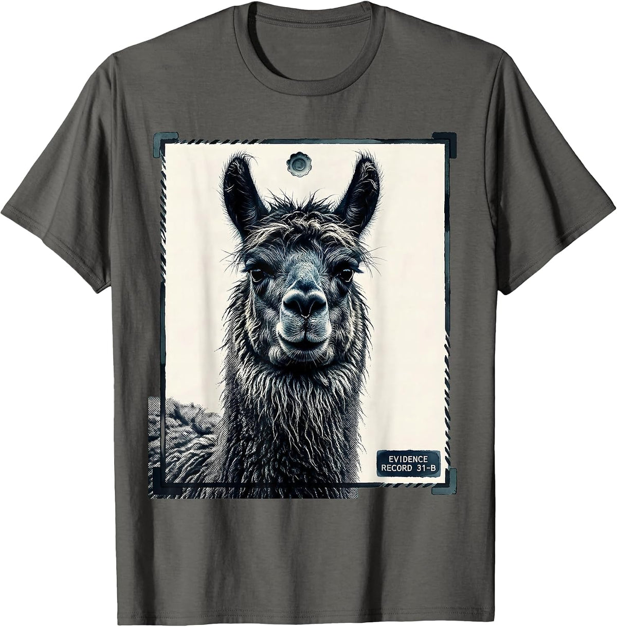 Evidence Record 31-B Funny Alpaca UFO Meme Humor Novelty T-Shirt - Asphalt Grey