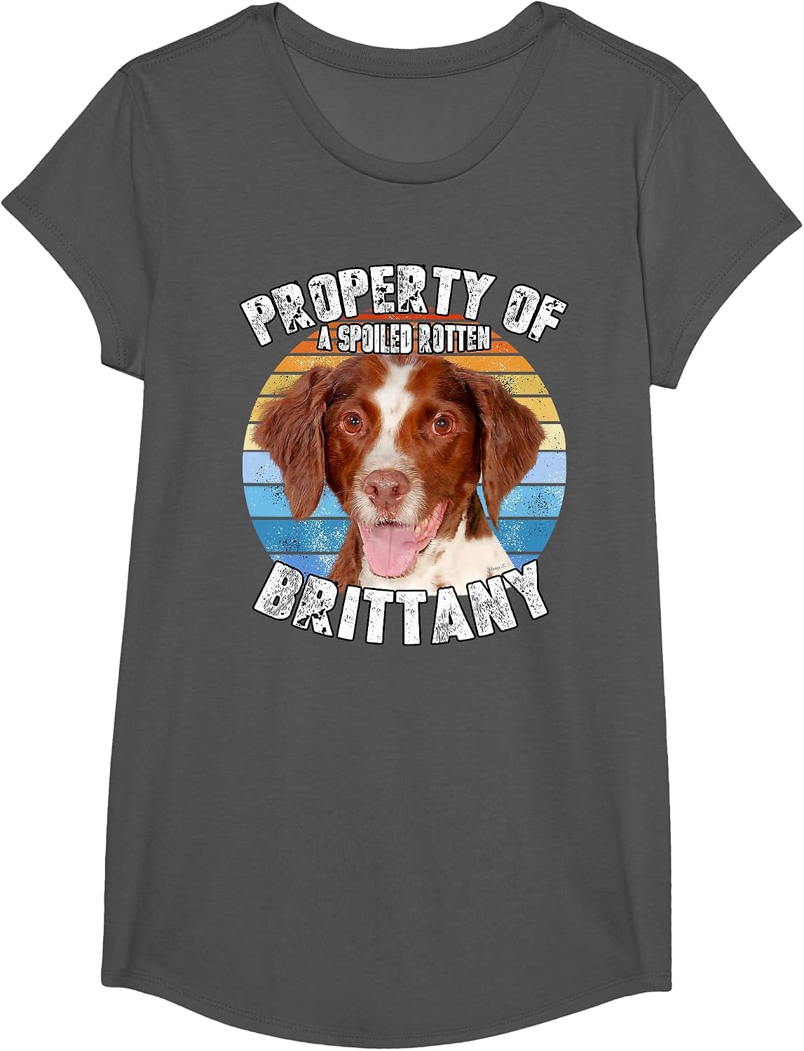 Brittany Spaniel Property of T-Shirt - Girls Asphalt Grey