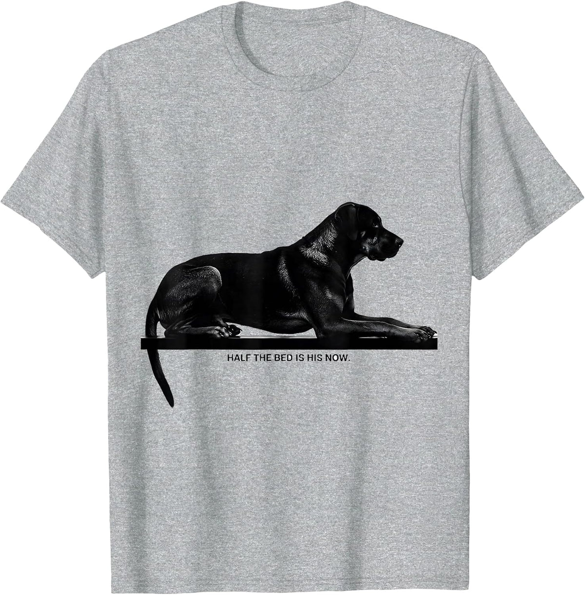 Men's Half The Bed Is His Now Funny Rhodesian Ridgeback Dog Owner T-Shirt - Heather Grey