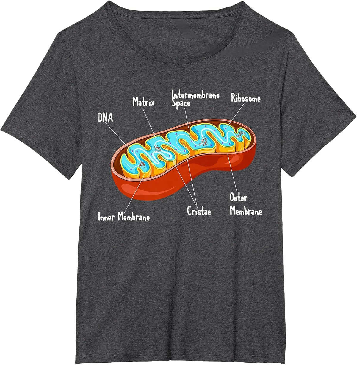 Mitochondria Cell Biology Biologist Science Teacher Student T-Shirt - Dark Heather Grey