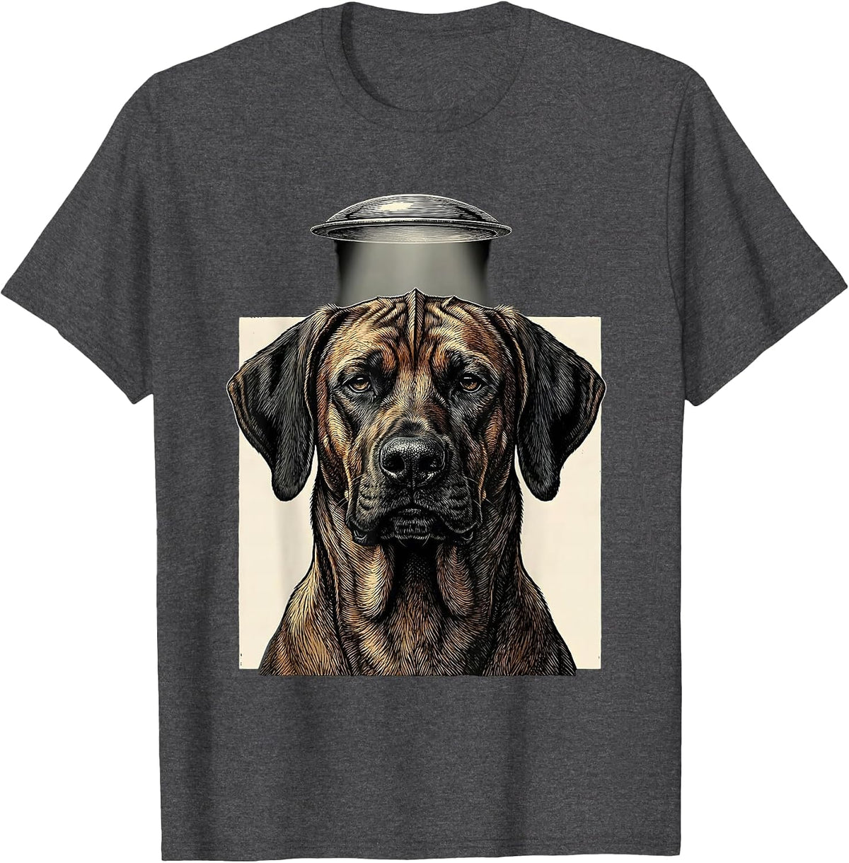 Rhodesian Ridgeback UFO Abduction Funny Dog Breed T-Shirt - Dark Heather Grey