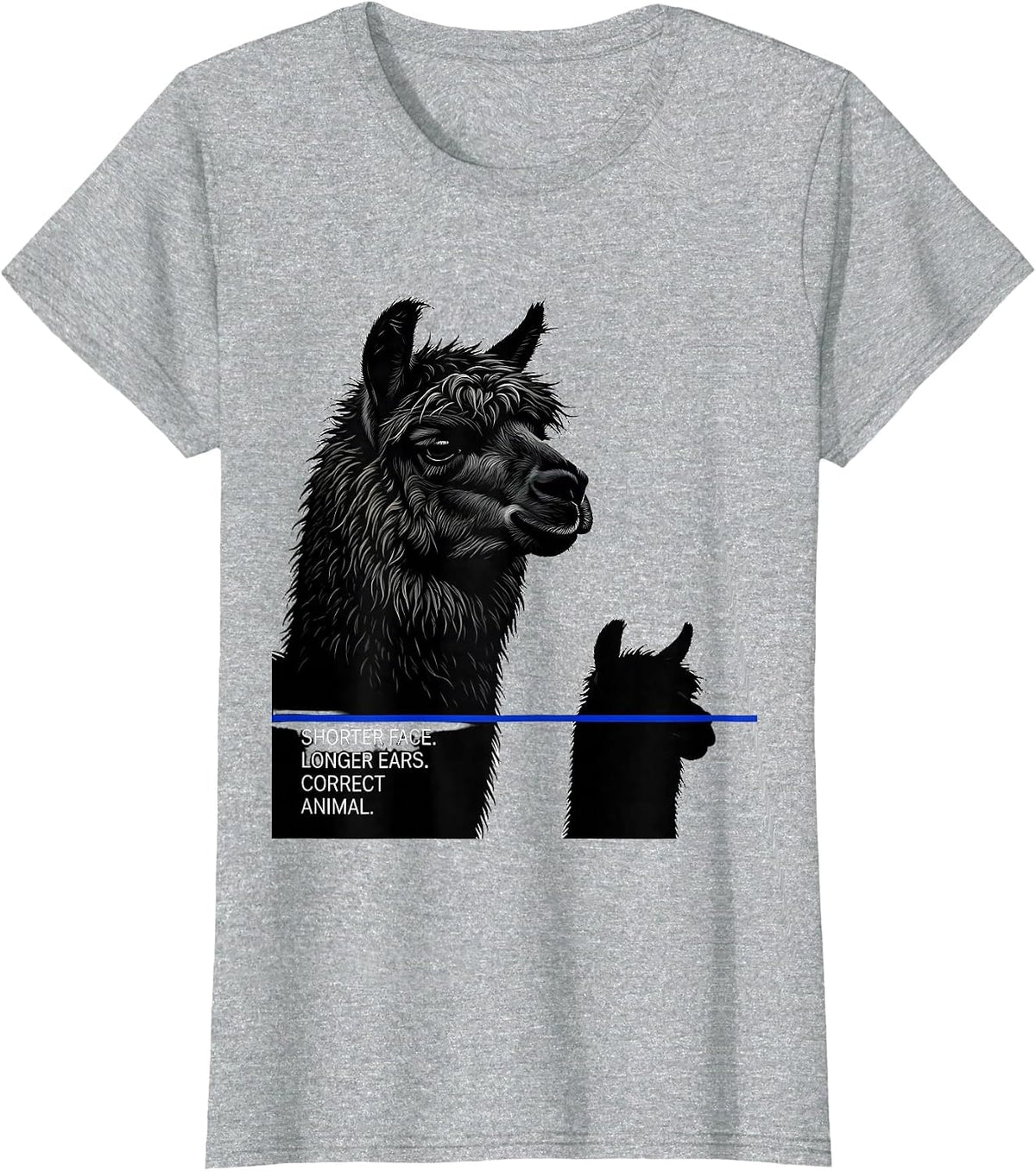 Women's Shorter Face Longer Ears Correct Animal Alpaca Lover T-Shirt - Heather Grey