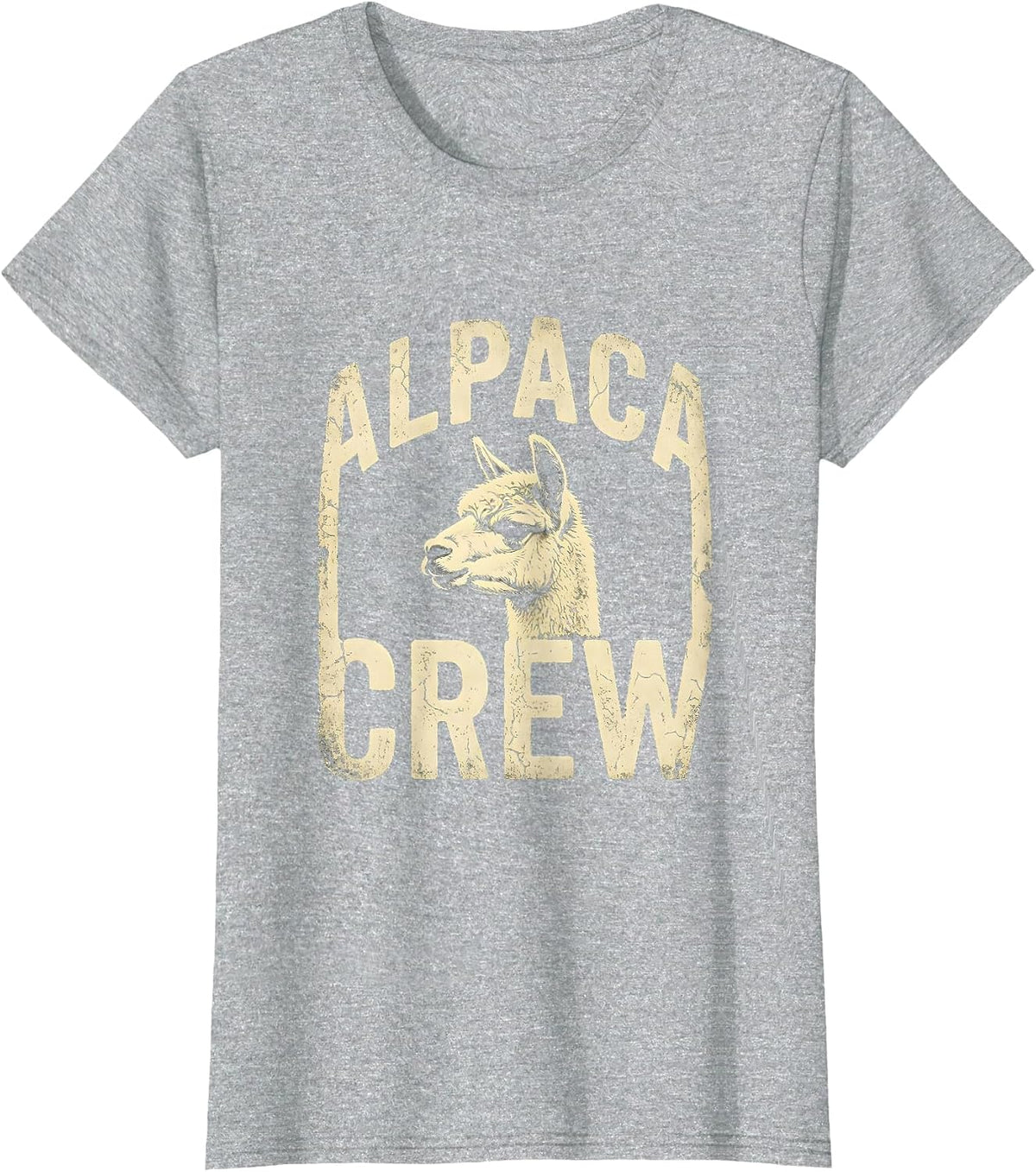 Alpaca Crew Boho Western Mono Animal Lover Gift T-Shirt - Heather Grey