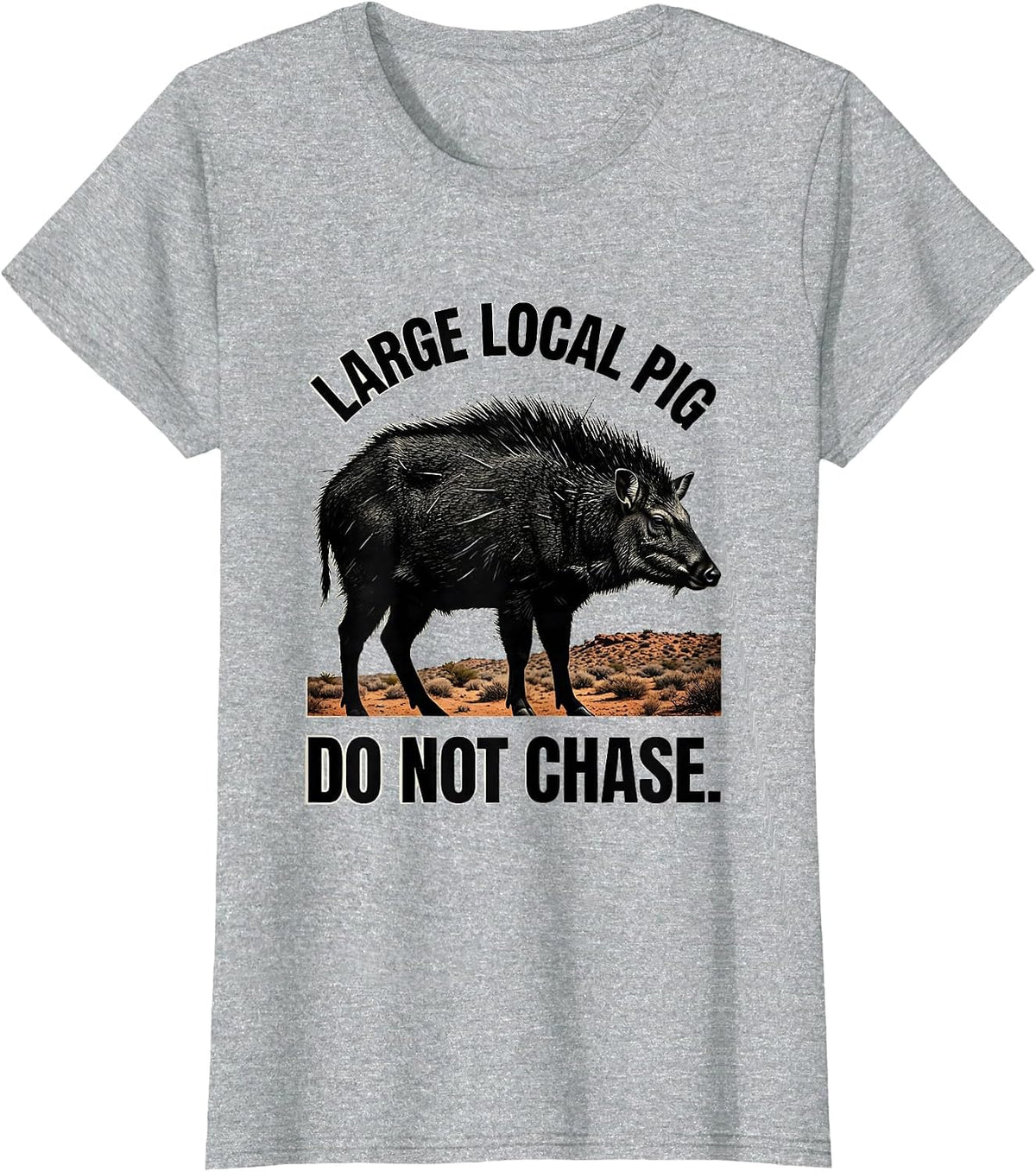 Large Local Pig, Do Not Chase Retro National Park Travel T-Shirt - Heather Grey