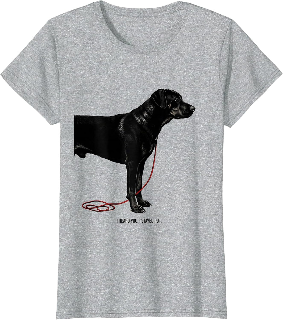 I Heard You I Stayed Put Funny Rhodesian Ridgeback Dog Lover T-Shirt - Heather Grey