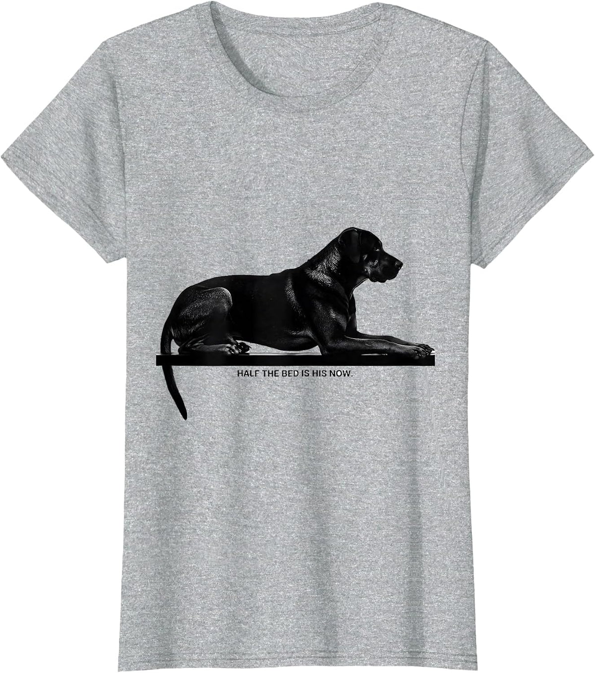 Women's Half The Bed Is His Now Funny Rhodesian Ridgeback Dog Owner T-Shirt - Heather Grey
