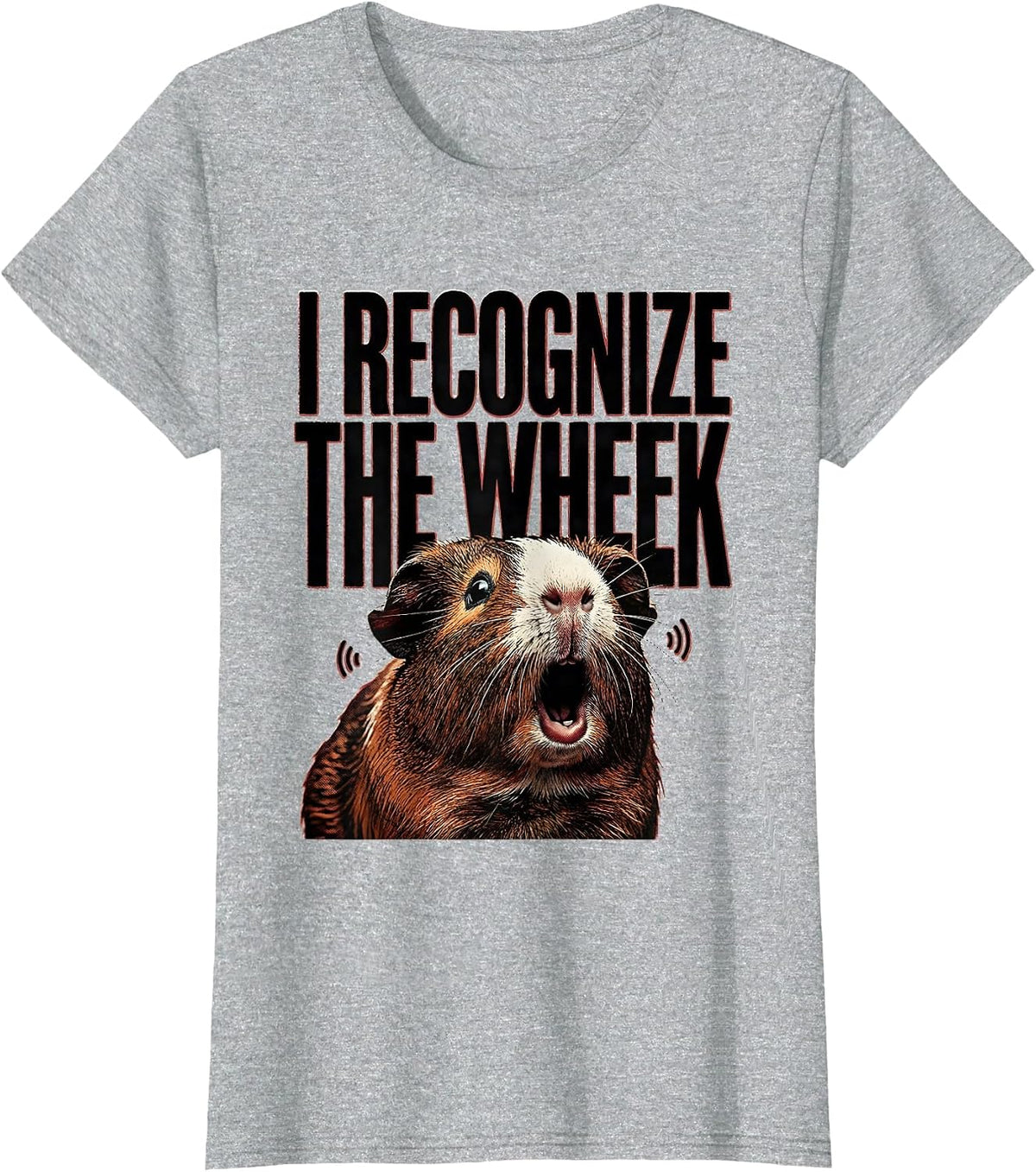 Women's I Recognize The Wheek Funny Guinea Pig Pet Lover Gift T-Shirt - Heather Grey