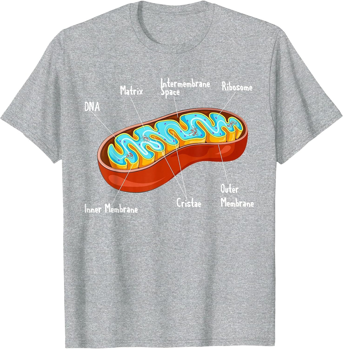 Mitochondria Cell Biology Biologist Science Teacher Student T-Shirt - Heather Grey