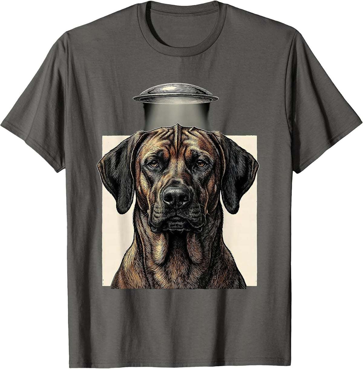 Rhodesian Ridgeback UFO Abduction Funny Dog Breed T-Shirt - Asphalt Grey