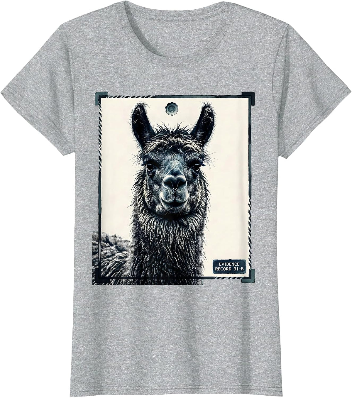 Evidence Record 31-B Funny Alpaca UFO Meme Humor Novelty T-Shirt - Heather Grey