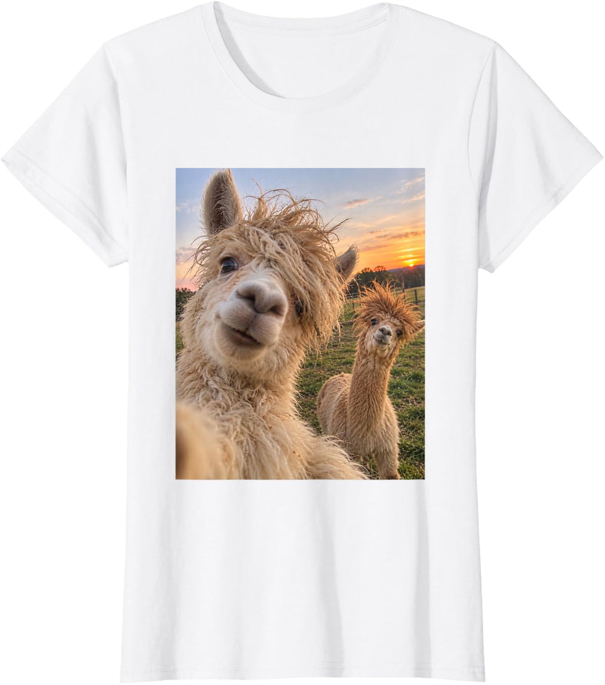 Funny Alpaca Bad Hair Day Fluffy Farm Animal Humor T-Shirt - White